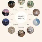 شامپو بدن معطر Happy bath حجم ۷۶۰ گرم